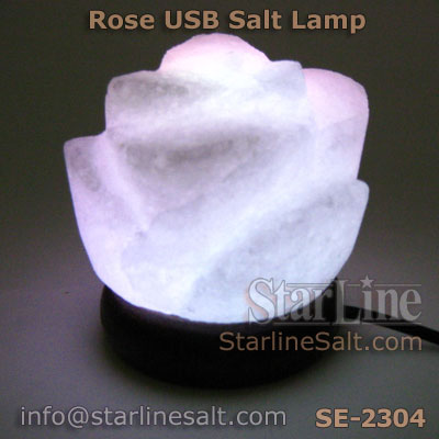 Rose USB Salt Lamp